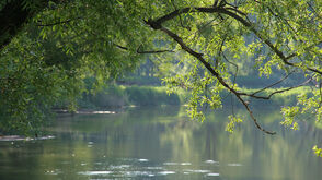 Nationalpark Donau-Auen