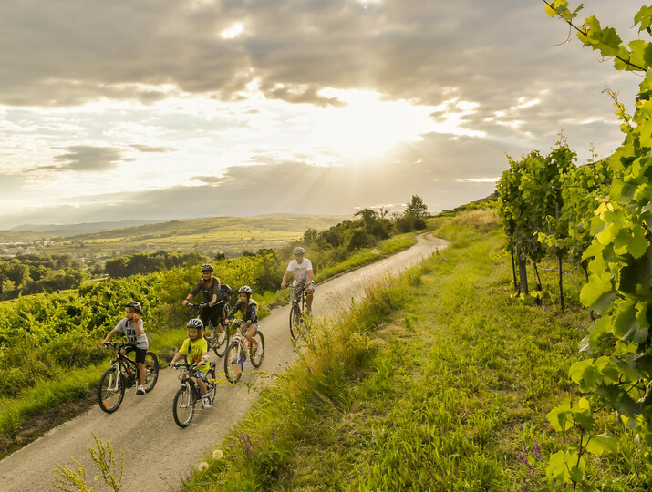Radfahren in Niederösterreich 