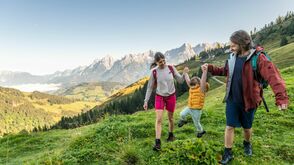 Salisburghese ©SalzburgerLand Tourismus
