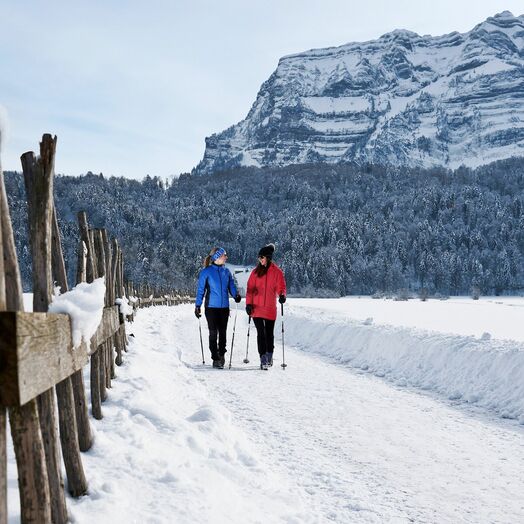 Winterwandern in Bizau im Bregenzerwald