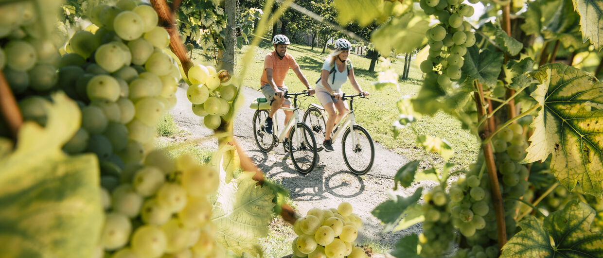 Vom Morillon zum Kernöl: Radfahren im Weinland Steiermark