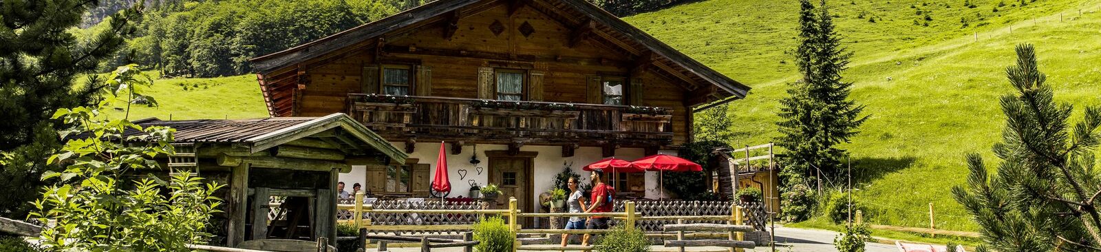 Naturschutzgebiet Kaiserbachtal in den Kitzbüheler Alpen