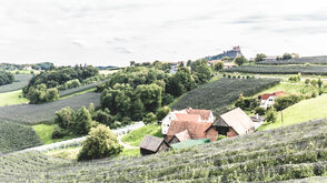 Steirisches Vulkanland