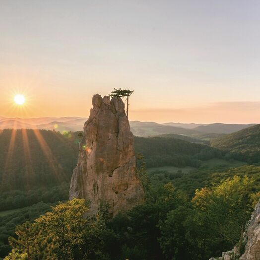 Südlich von Wien erhebt sich der Peilstein im Wienerwald