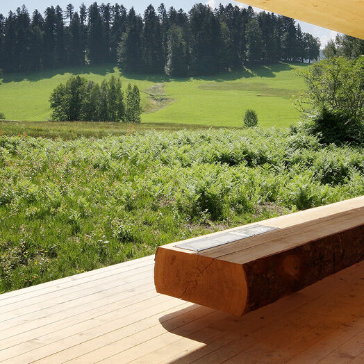 Moorraum Krumbach