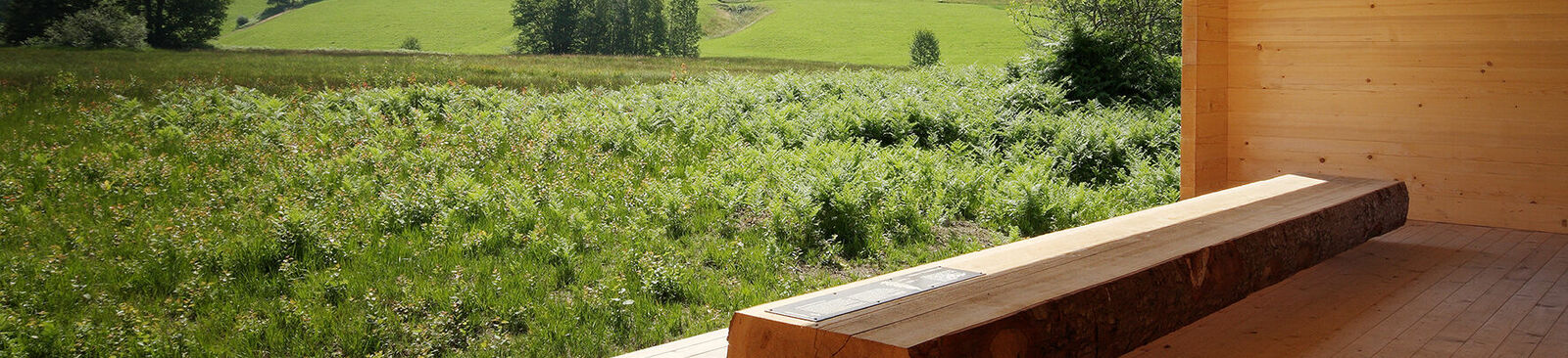 Moorraum Krumbach