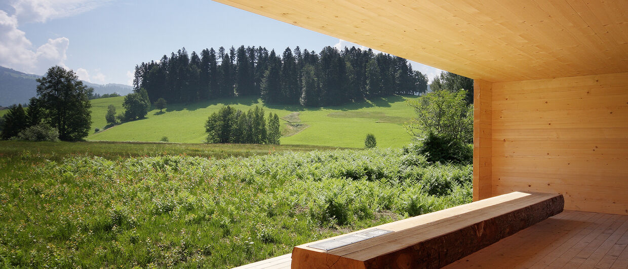 Moorraum Krumbach