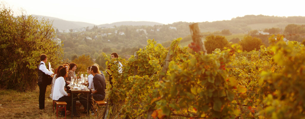 Weingut Wieninger am Nussberg