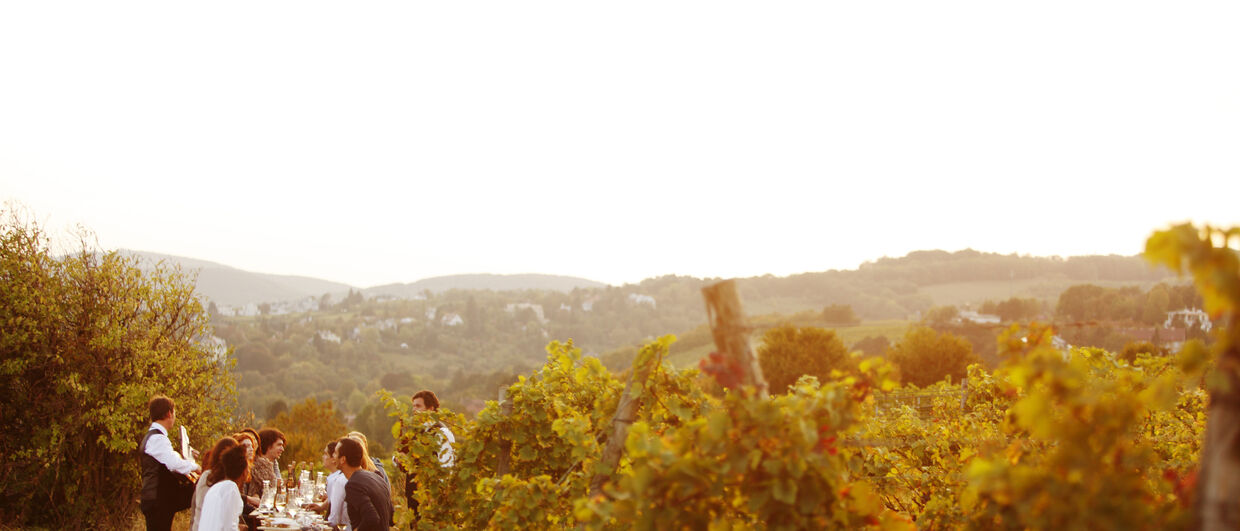 Weingut Wieninger am Nussberg