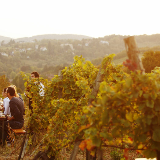 Weingut Wieninger am Nussberg