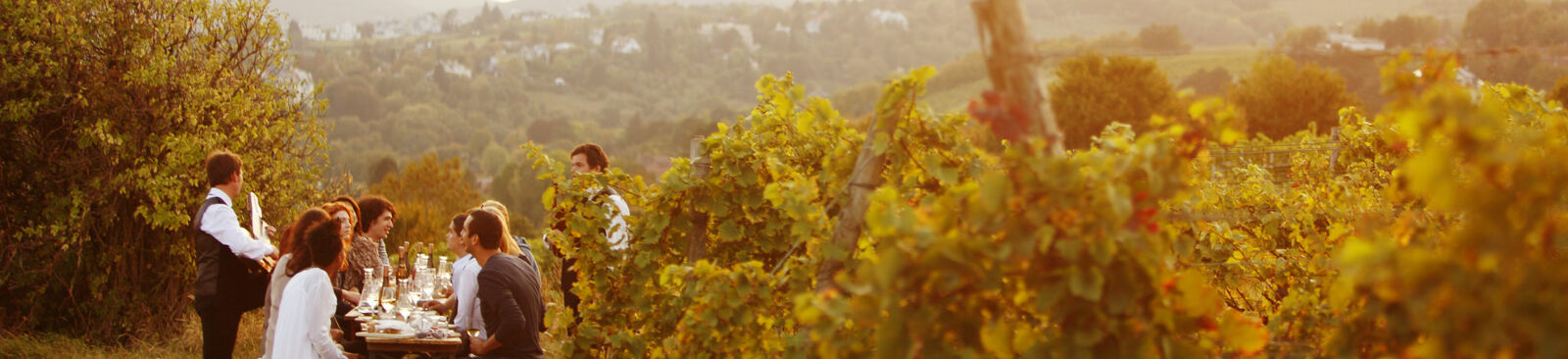 Weingut Wieninger am Nussberg