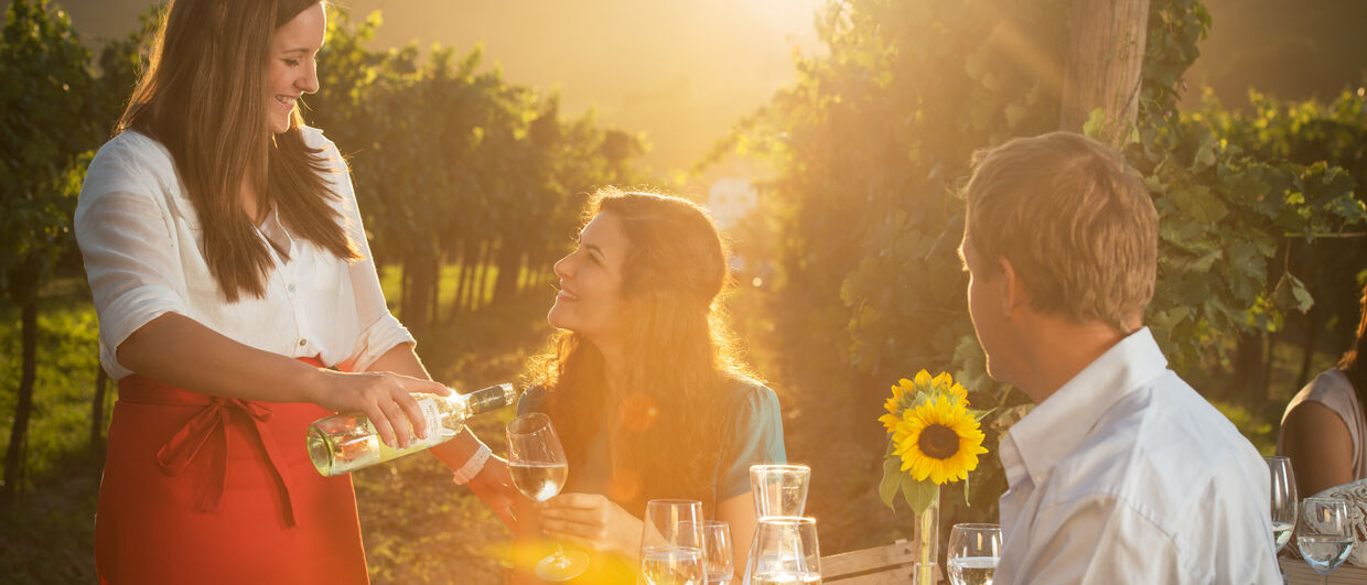 Dinner in a Vineyard