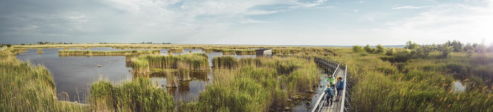 Nationalpark Neusiedler See – Seewinkel