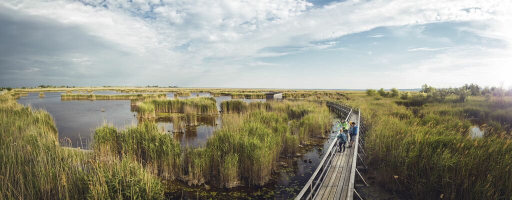 Nationalpark Neusiedler See – Seewinkel