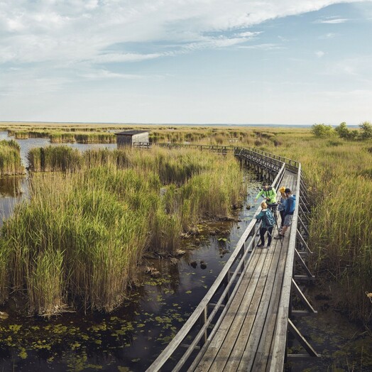 Nationalpark Neusiedler See – Seewinkel