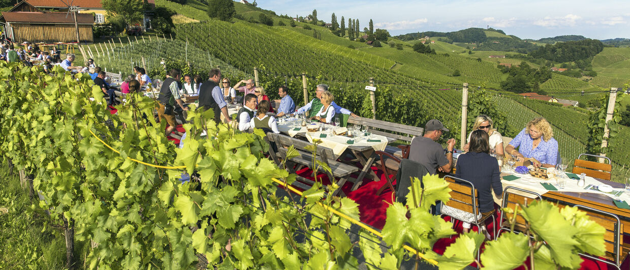 Tafel an der südsteirischen Weinstraße im Juni