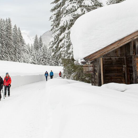 Winterwandern in der Olympiaregion Seefeld