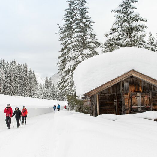 Winterwandern in der Olympiaregion Seefeld