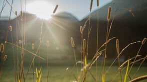 Take time and enjoy the beauty of Austrias untouched nature