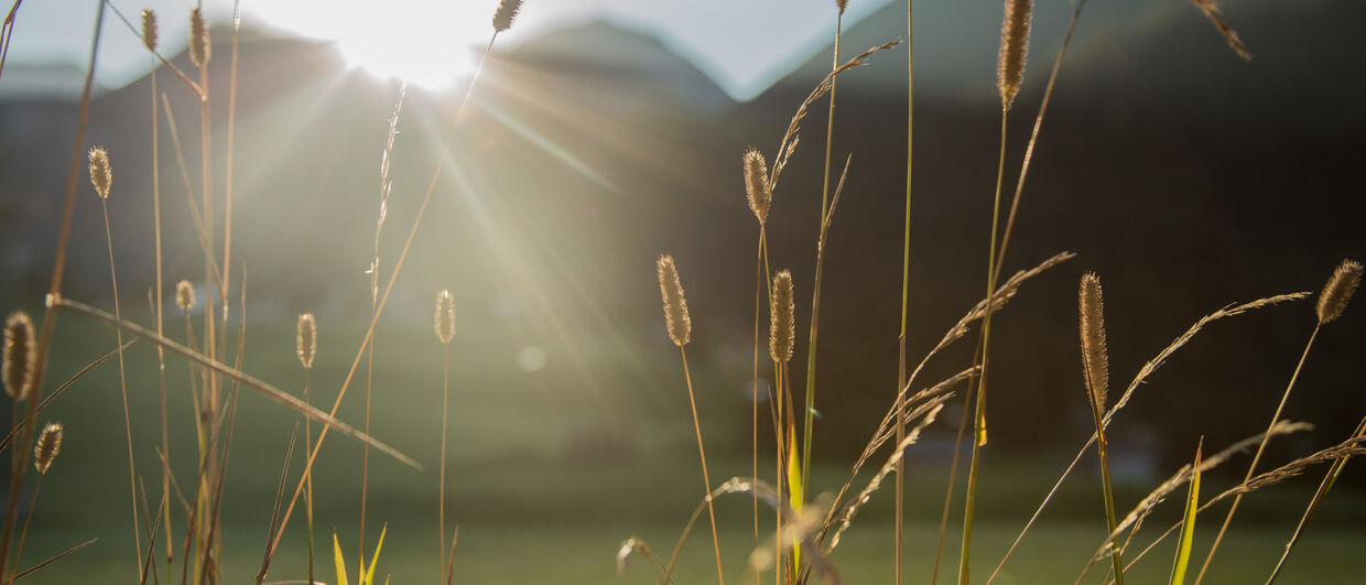 Take time and enjoy the beauty of Austrias untouched nature