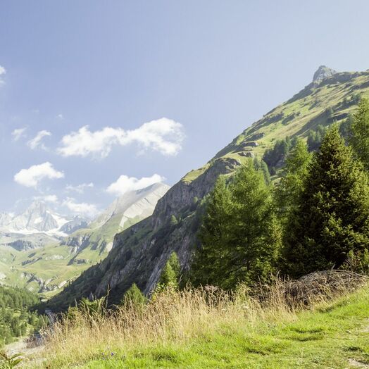 Osttirol_ParcoNazionaleAltiTauri_vedutaGrossglockner(c)AustriaTurismo_PeterPodpera