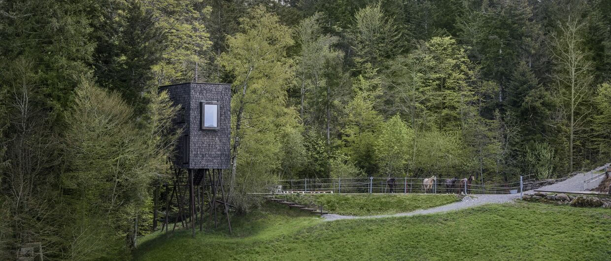 Erlebnis Baumhaus Baldauf