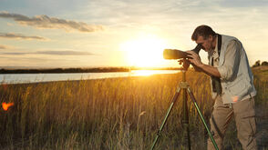 Birdwatching 