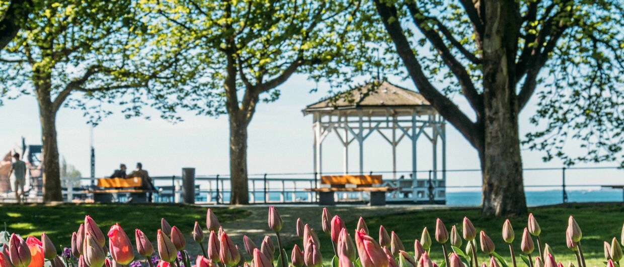 Bodensee-Promenade mit Fischersteg
