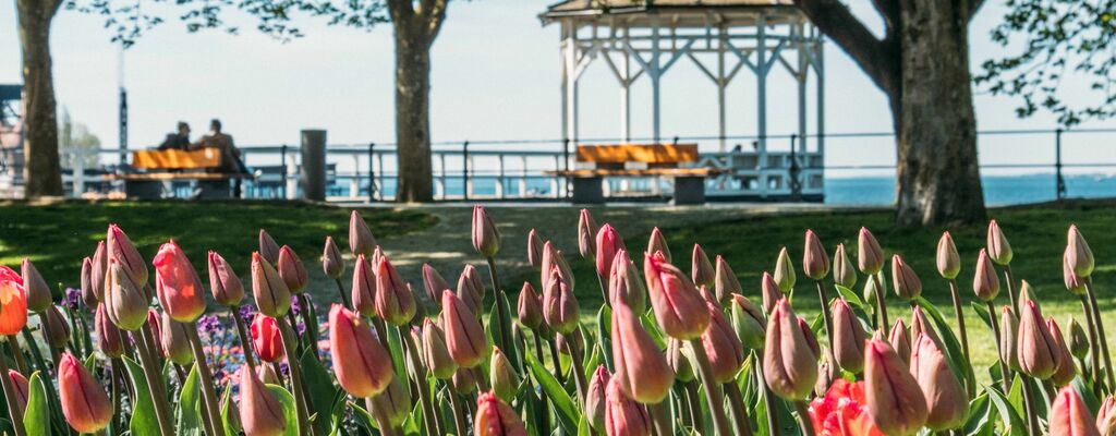 Bodensee-Promenade mit Fischersteg