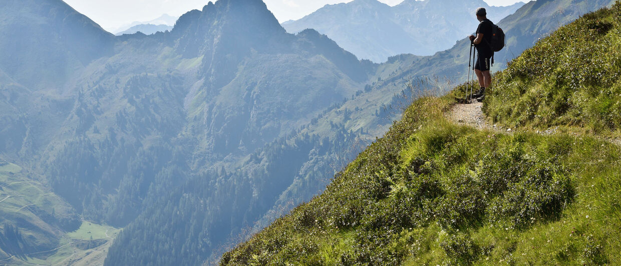 Alpbach Wiederbergerhorn panorama path