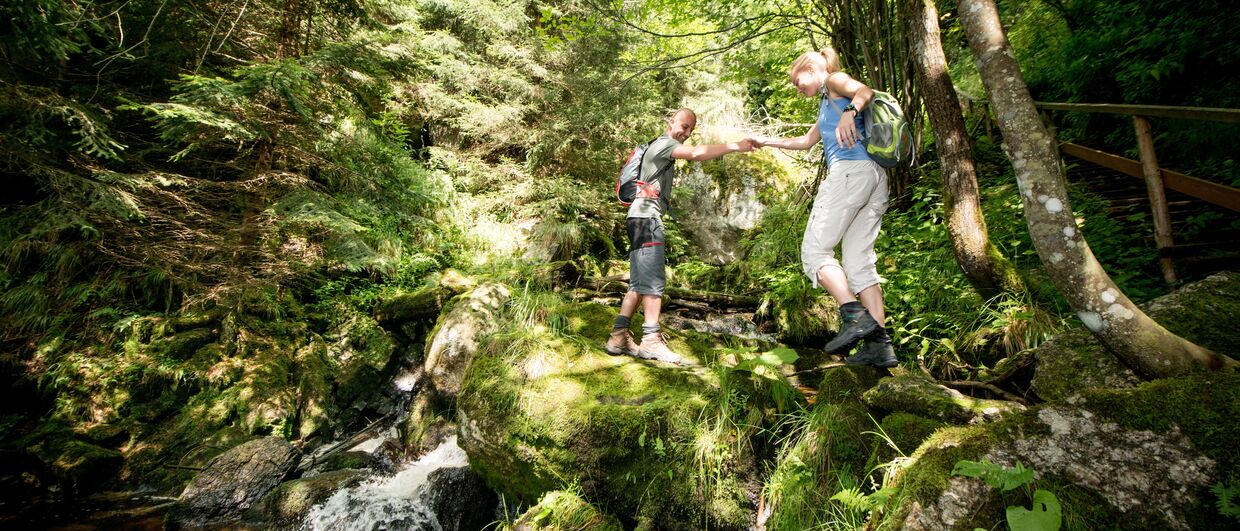 Wandern durchs Waldviertel