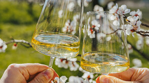 Wachau albicocchi in fiore (c) Oesterreich Werbung Elias Kaltenbrunner