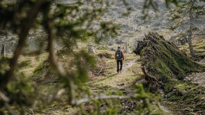 Luchsspuren suchen am neuen Luchs-Trail