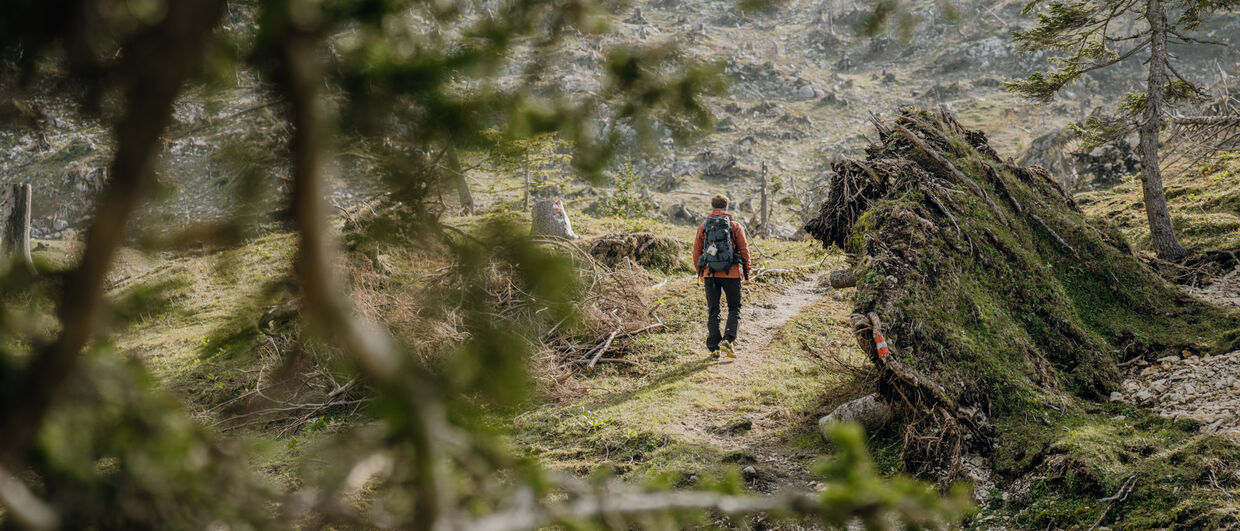 Luchsspuren suchen am neuen Luchs-Trail