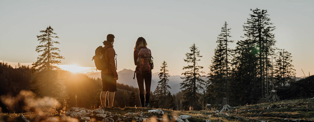 Luchsspuren suchen am neuen Luchs-Trail