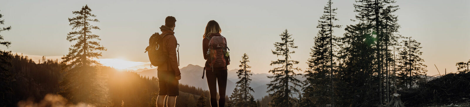Luchsspuren suchen am neuen Luchs-Trail