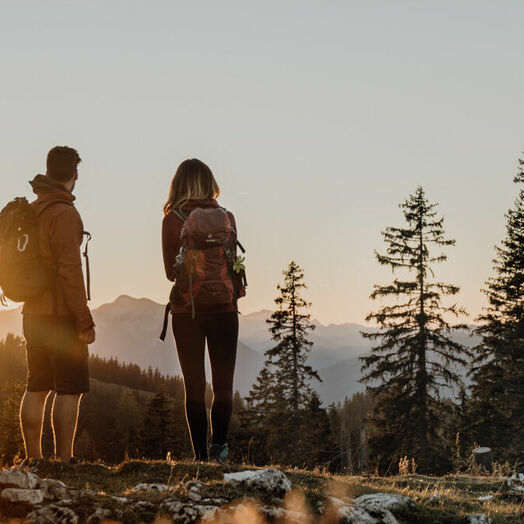 Luchsspuren suchen am neuen Luchs-Trail