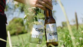 Cider aus dem Mostviertel